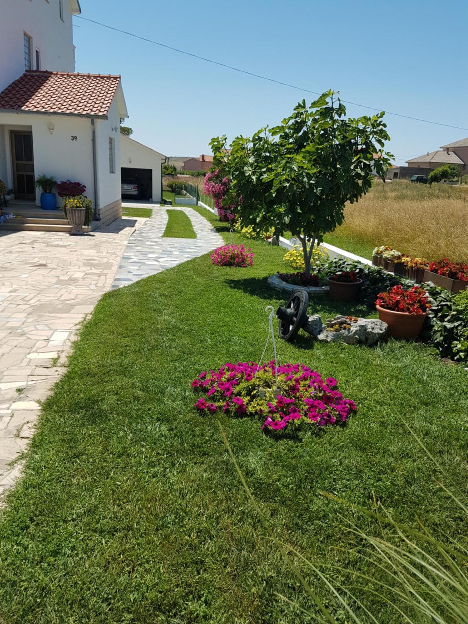 Apartament Smilja Ljubač